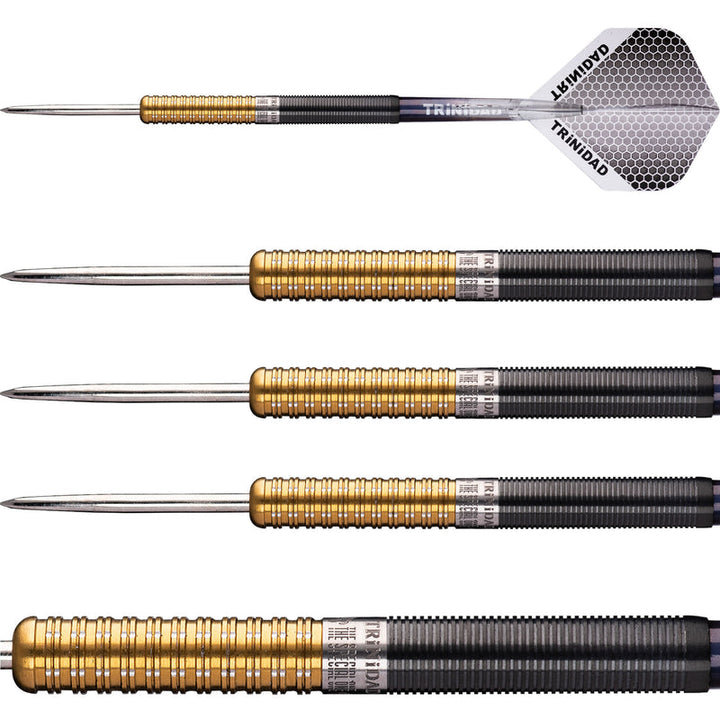 Jose de Sousa Type 2 Premium Gold Limited Edition Steel Tip Darts - 90% Tungsten